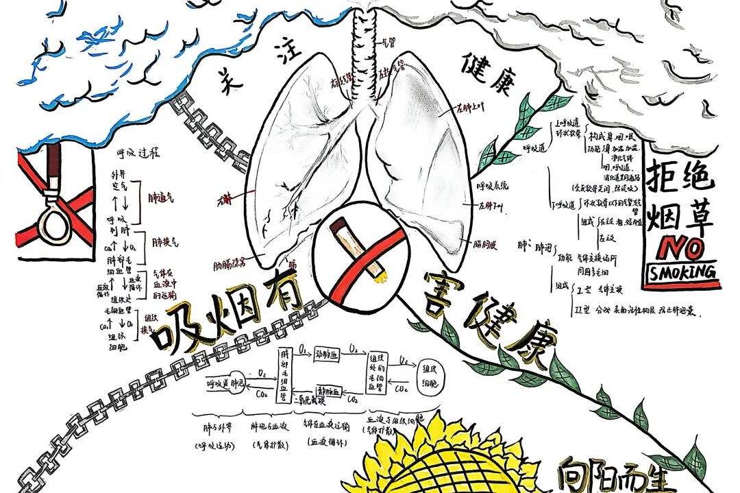 微信图片_2026-03-10_163708_010.jpg 微信图片_2026-03-10_163708_010.jpg